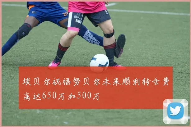 埃贝尔祝福努贝尔未来顺利转会费高达650万加500万