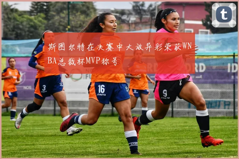 斯图尔特在决赛中大放异彩荣获WNBA总裁杯MVP称号